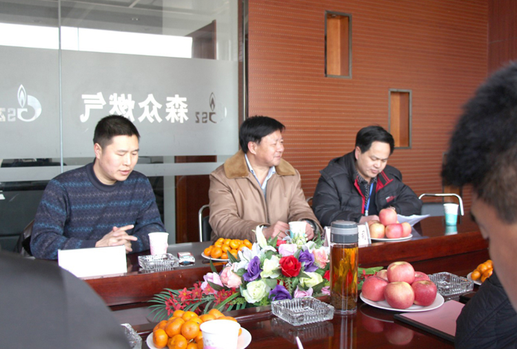 林口县政府与宁波志林环保材料开发有限公司燃气项目洽谈.png